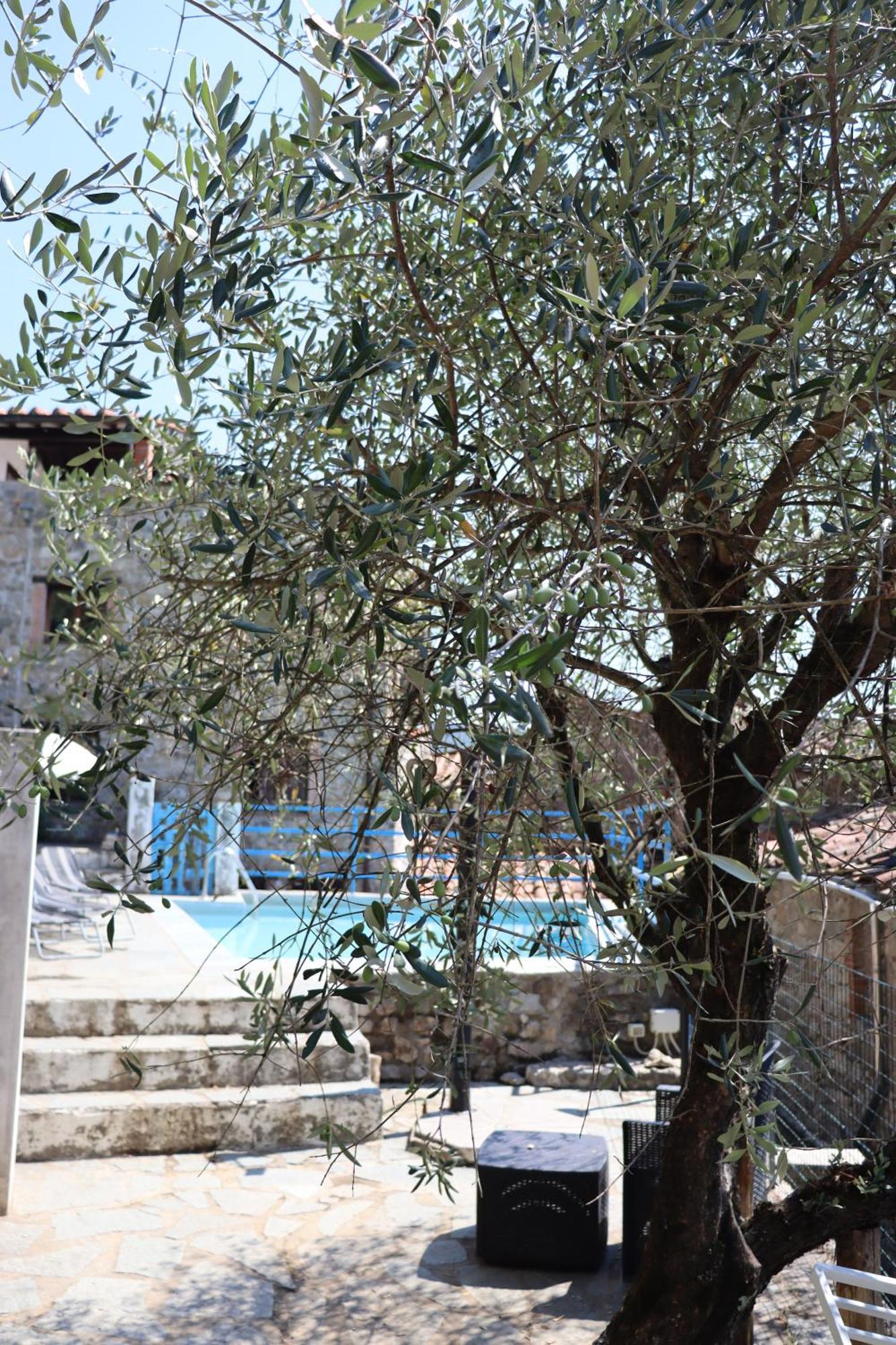 Carpe Diem Colognora Βίλα Vetriano Εξωτερικό φωτογραφία