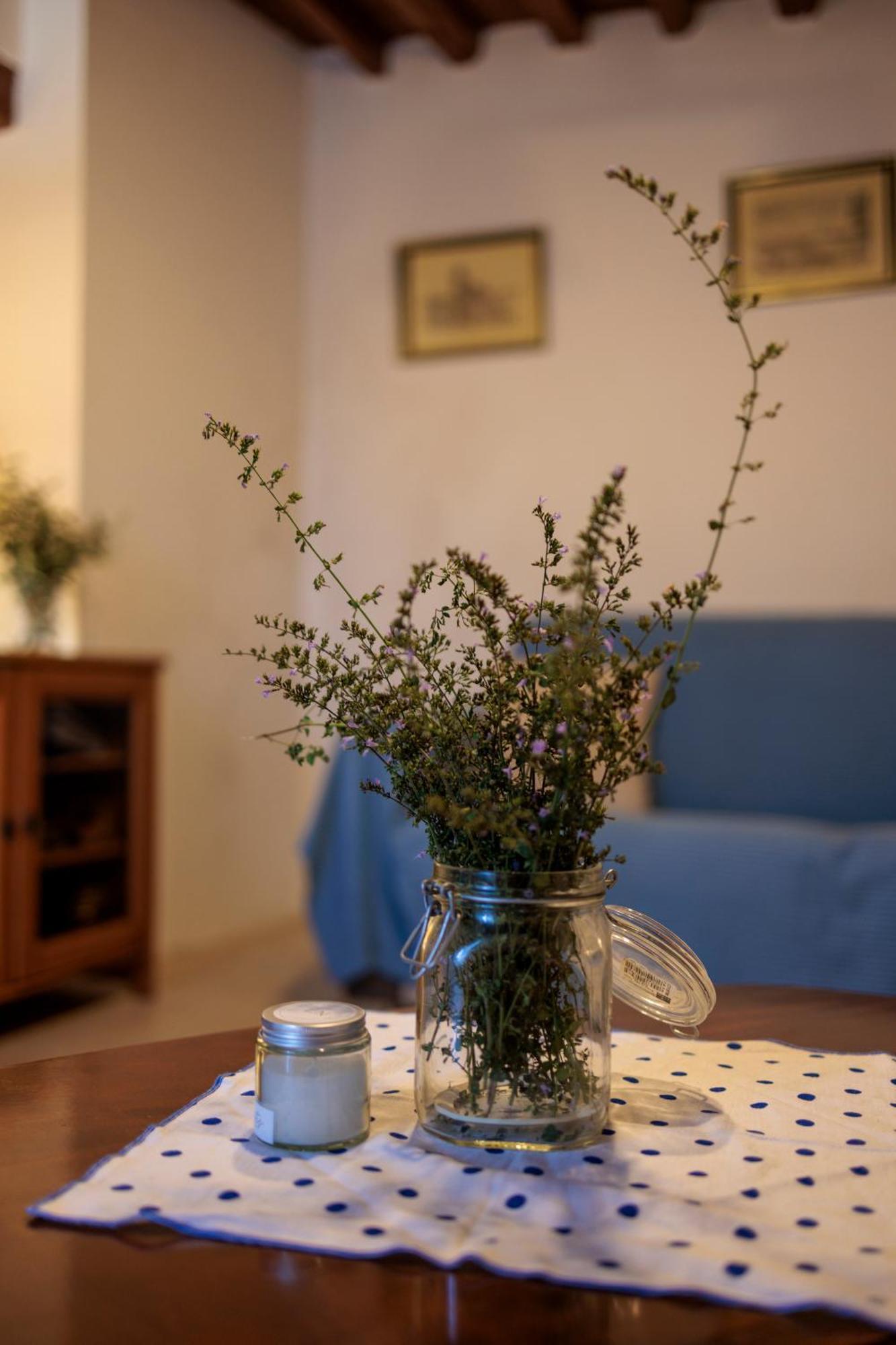 Carpe Diem Colognora Βίλα Vetriano Εξωτερικό φωτογραφία